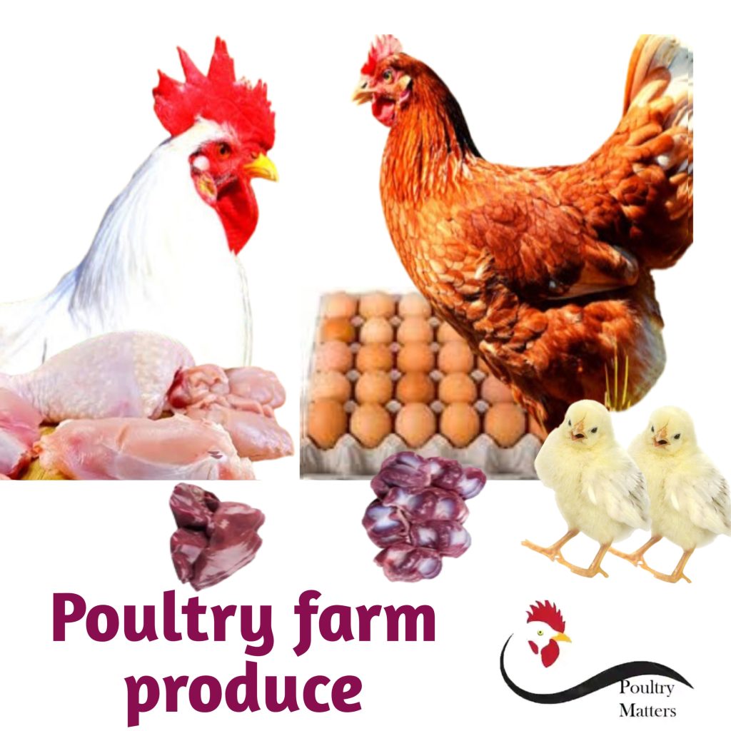 Poultry Farm Products Pouu 1024x1024