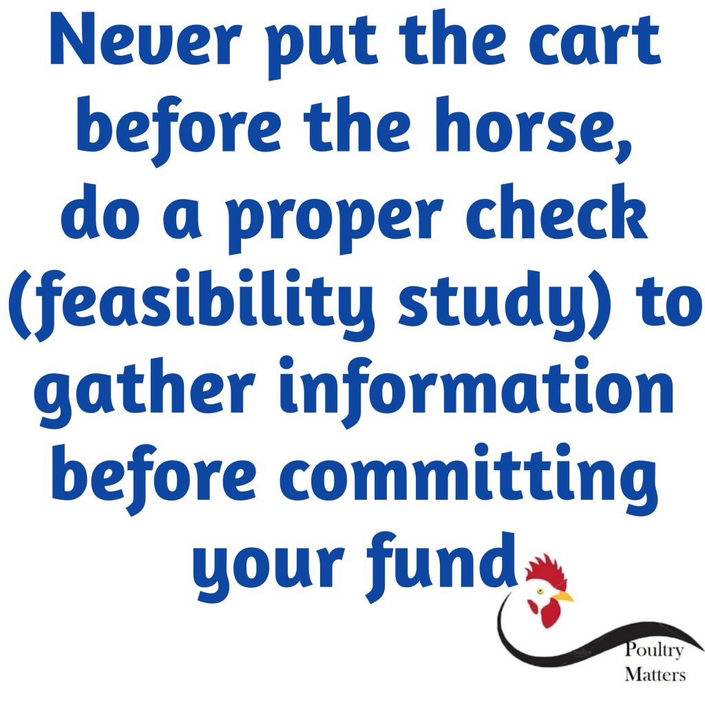 benefit of feasibility study to your poultry investment