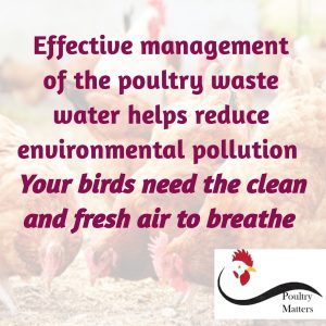 Waste water management on the poultry farm poultry waste management