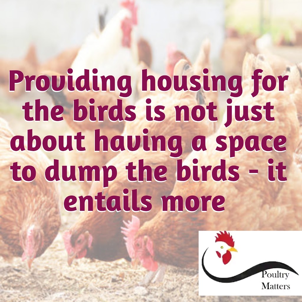 Effective poultry housing system - Essential for poultry profit optimization