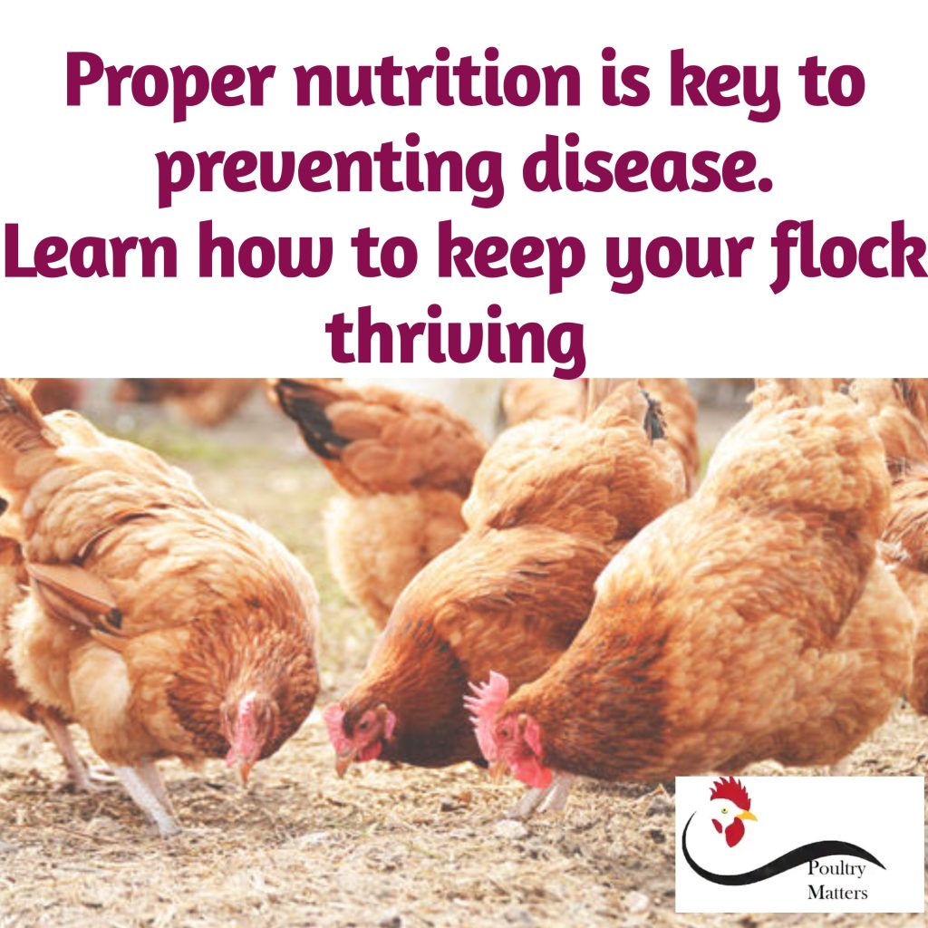 Poultry Nutritional Disease