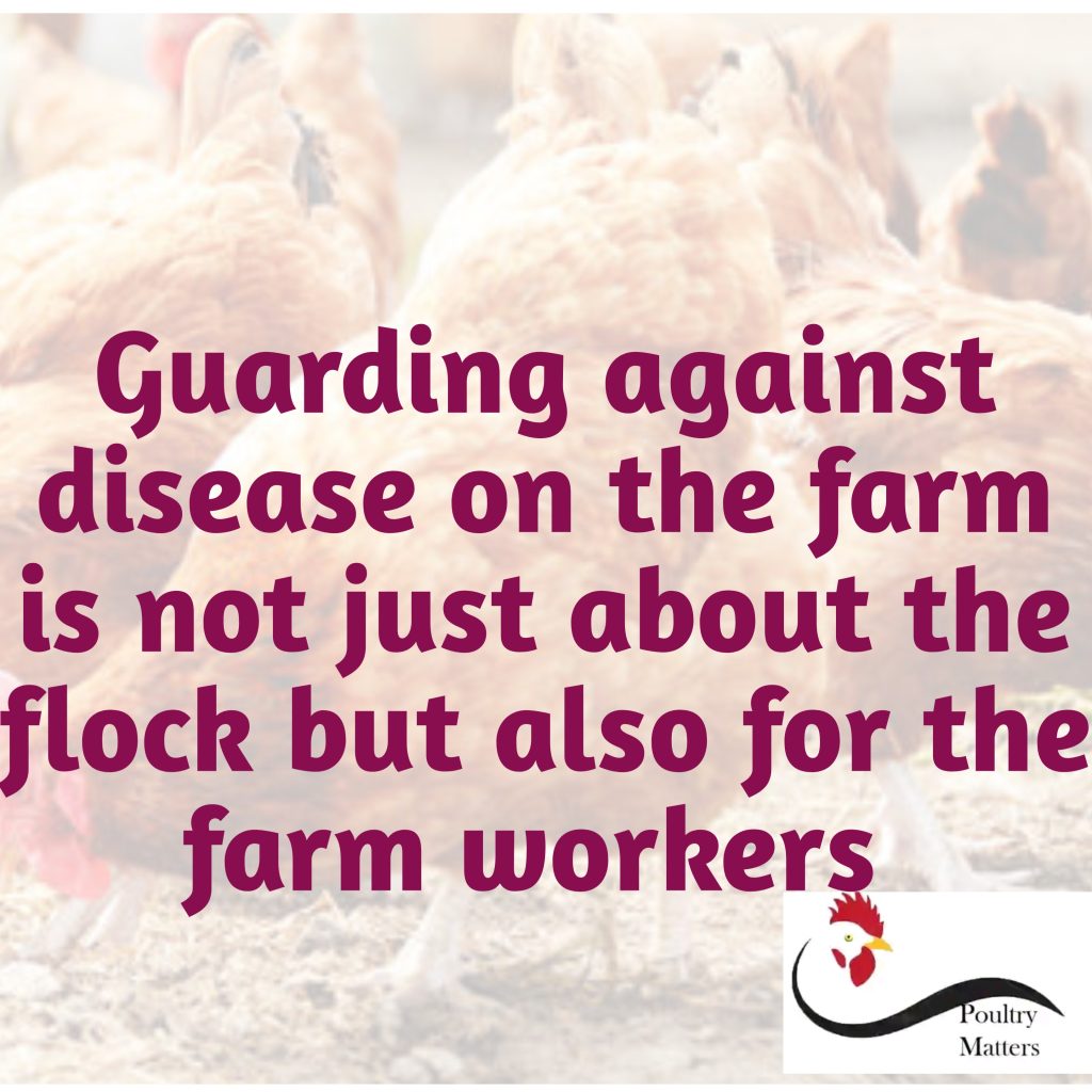 zoonotic poultry disease