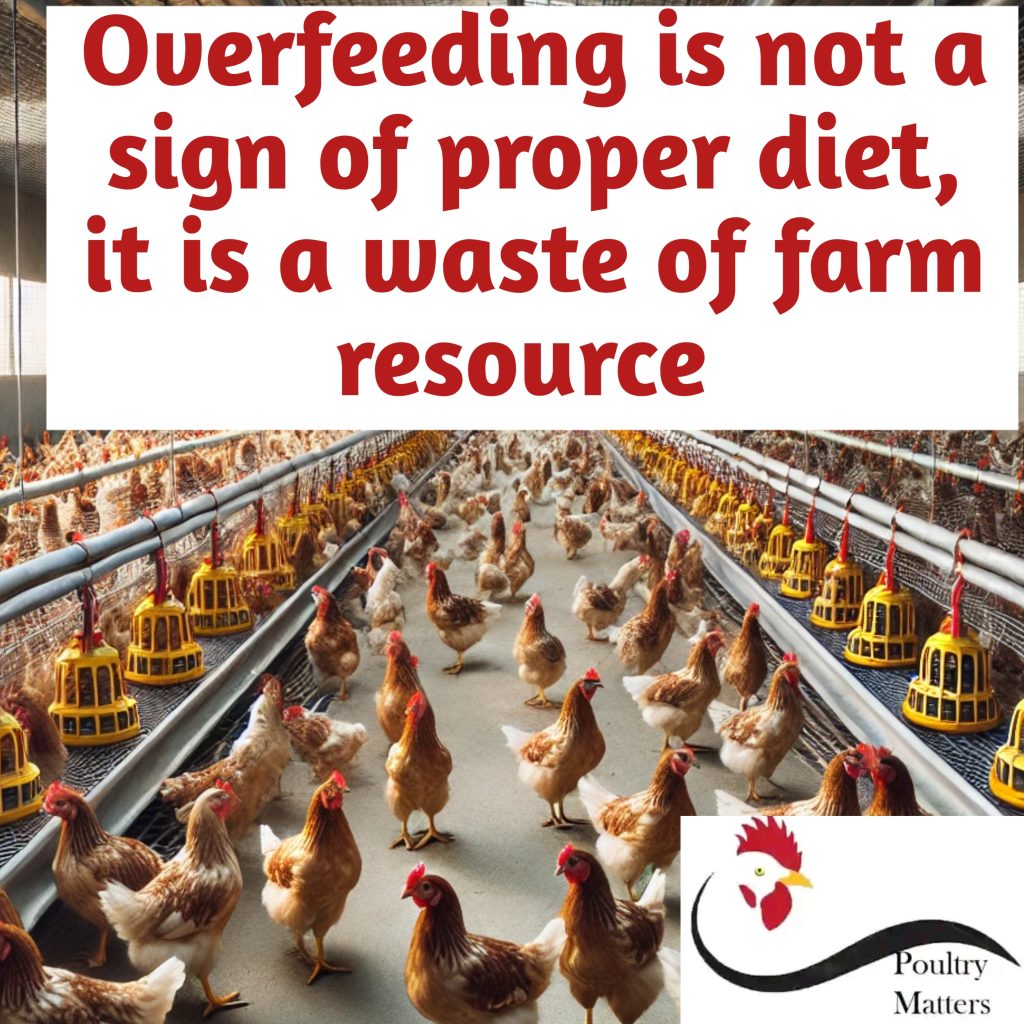 Cost control hacks in poultry farming