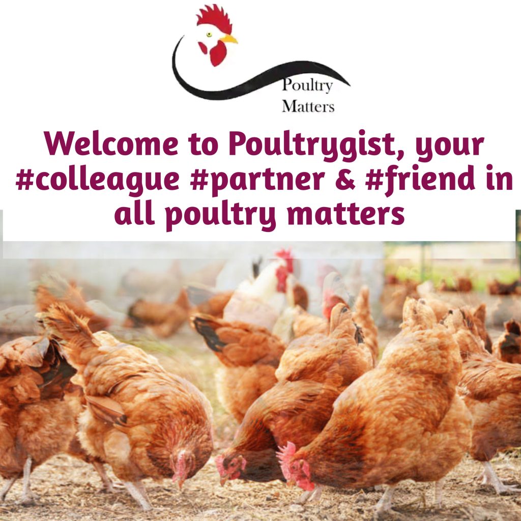 Poultrygist