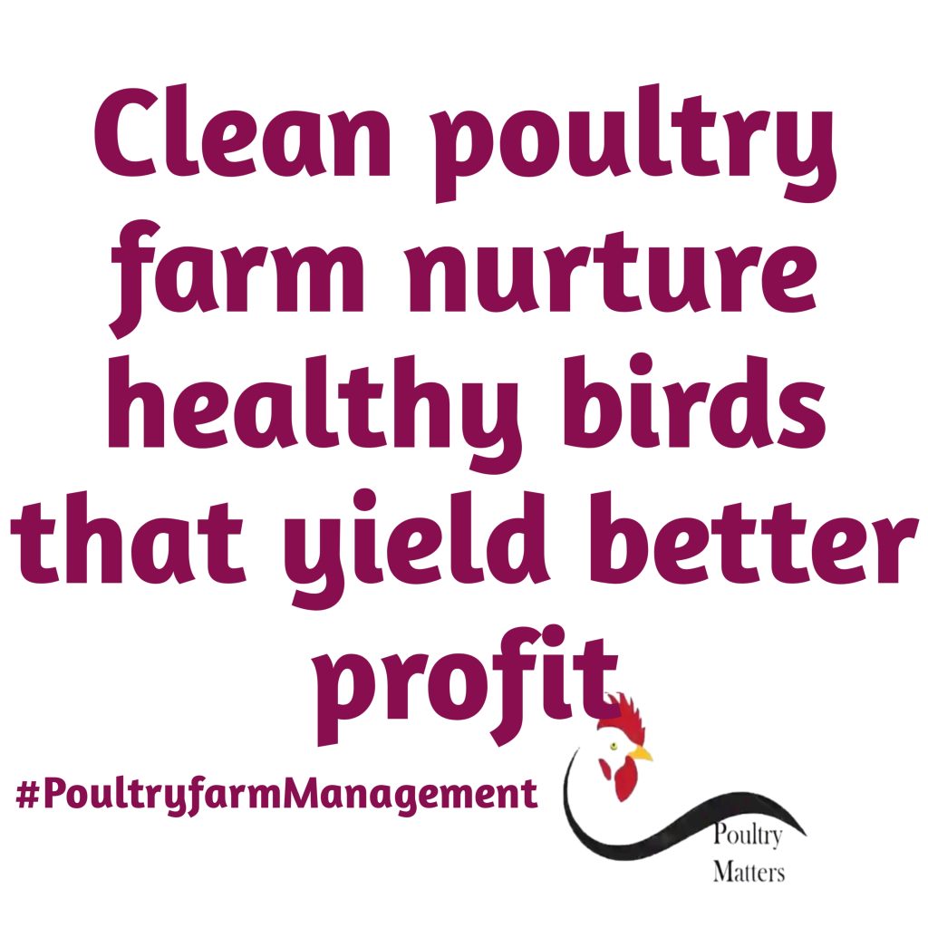 Daily Poultry House Hygiene: The Key to Early Disease Detection and Healthier Birds 20260429 143350