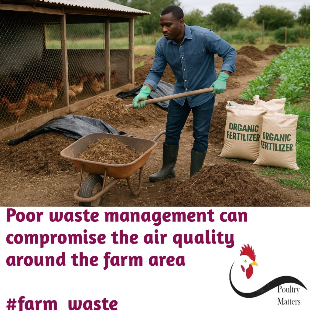 The 6 Strategic Pillars of Poultry Management for Consistent Growth and Profit 20260429 135001
