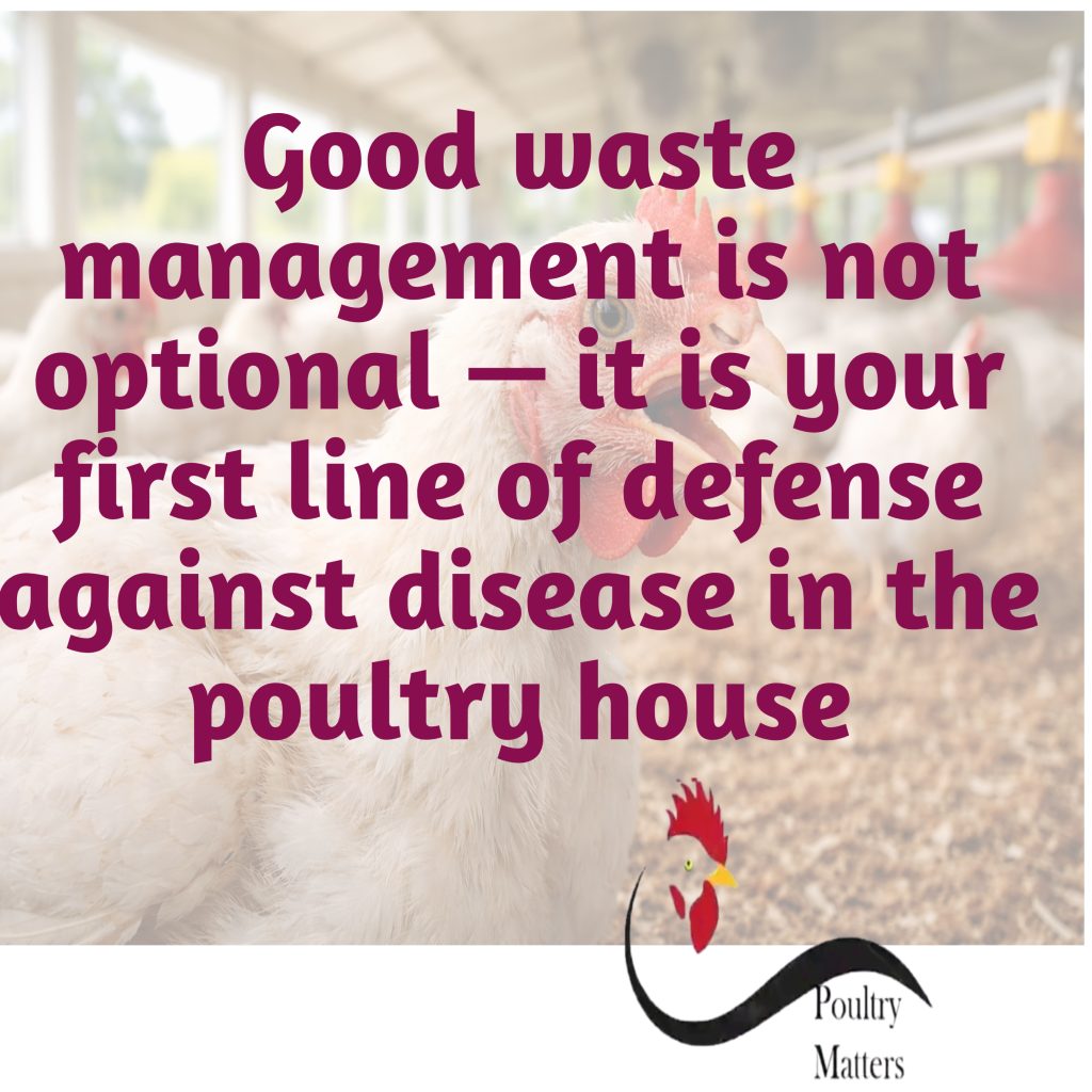 The 6 Strategic Pillars of Poultry Management for Consistent Growth and Profit 20260502 144751