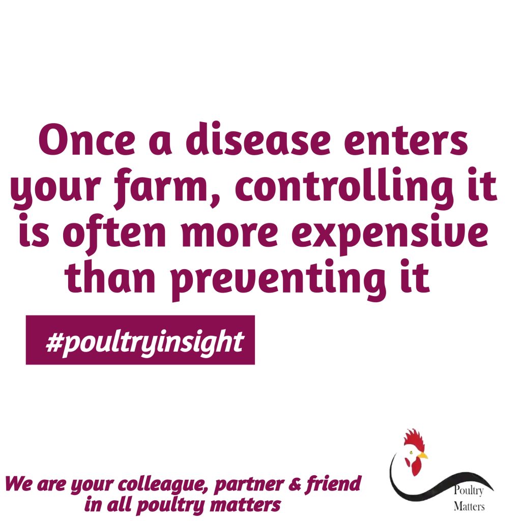 Internal and External Biosecurity in Poultry Farming: Why You Need Both to Protect Your Flock 20260724 061645